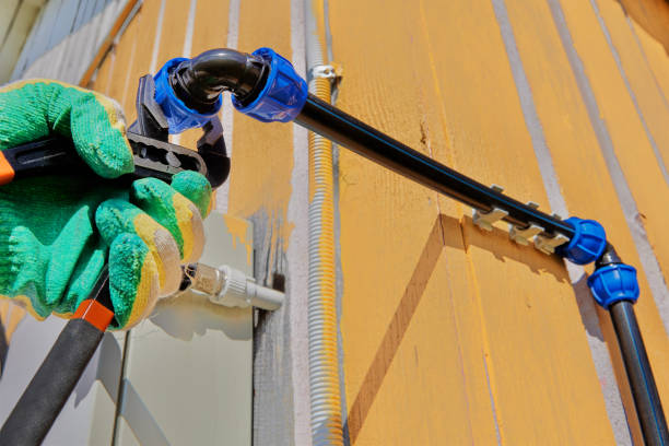 Best Same-Day Plumbing Service  in St Joseph, IL