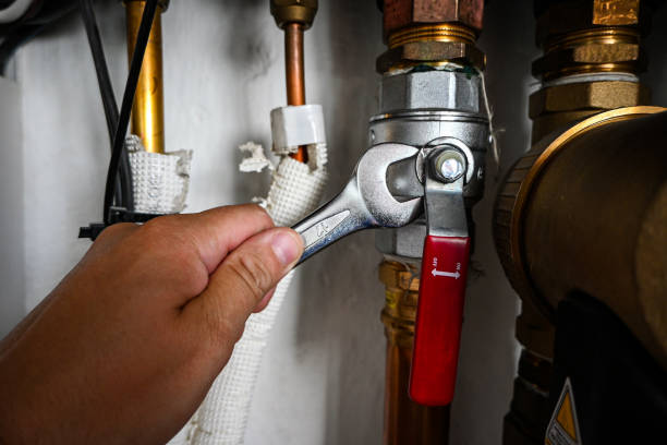 Best Residential Plumbing Services  in St Joseph, IL